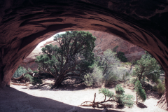 Arches-Navajo-Arch-9-91-089