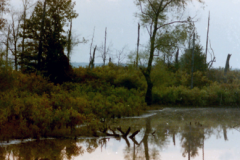 Beavers-Bend-Sunset-to-River-10-28-92-004