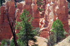 Bryce-Canyon-1-9-94-017