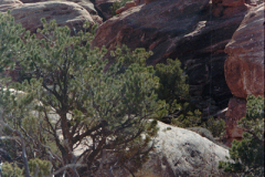 Canyonlands-86-2-011