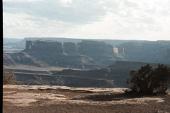 1_Dead-Horse-Point-to-Canyonlands-91-017