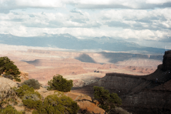 1_Dead-Horse-Point-to-Canyonlands-91-025
