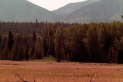 Montana-2000-023