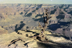 Grand-Canyon-1976-008