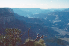 Grand-Canyon-9-79-016