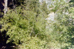 Logan-Canyon-to-Bear-Lake-10-94-010