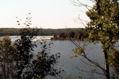 Vacation-2000-Lake-Superior-Trees-002