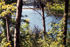 Vacation-2000-Lake-Superior-Trees-005