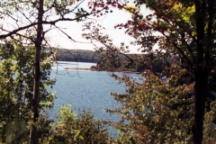 Vacation-2000-Lake-Superior-Trees-009